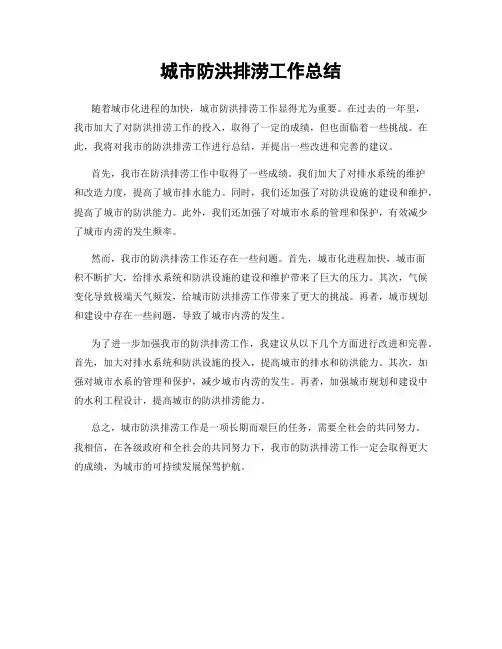 城市防洪排涝工作总结