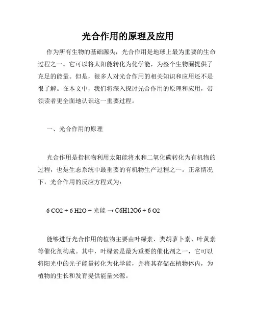 光合作用的原理及应用