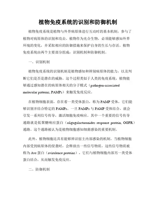 植物免疫系统的识别和防御机制