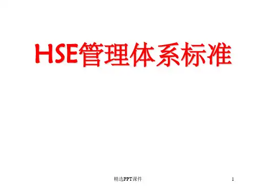 HSE管理体系标准PPT课件