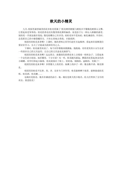 秋天的小精灵