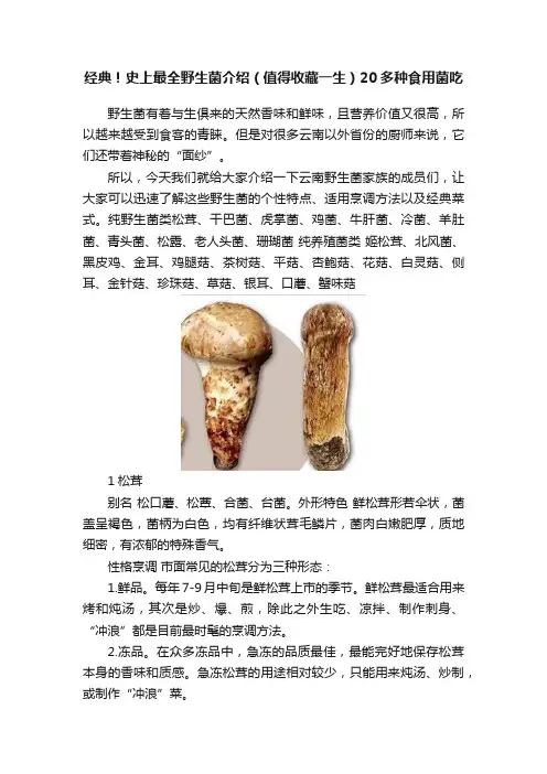 经典！史上最全野生菌介绍（值得收藏一生）20多种食用菌吃
