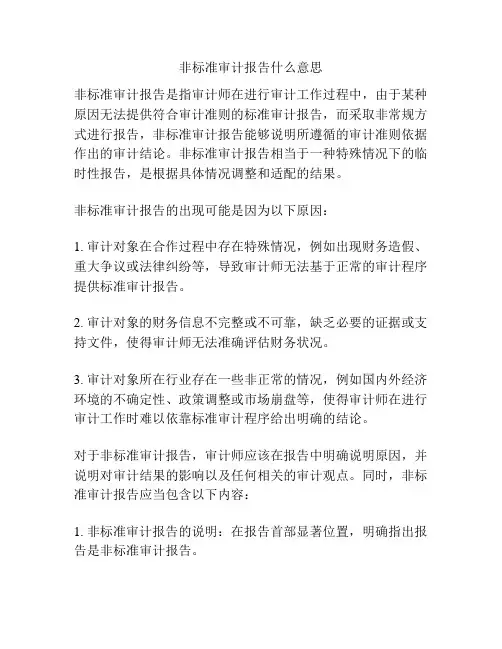 非标准审计报告什么意思