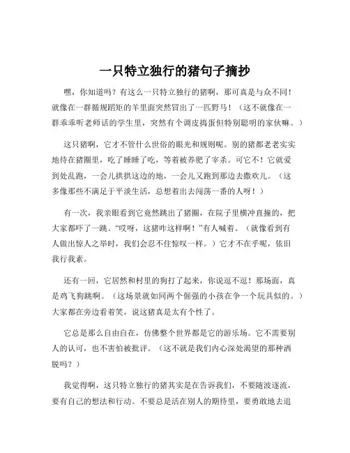 一只特立独行的猪句子摘抄