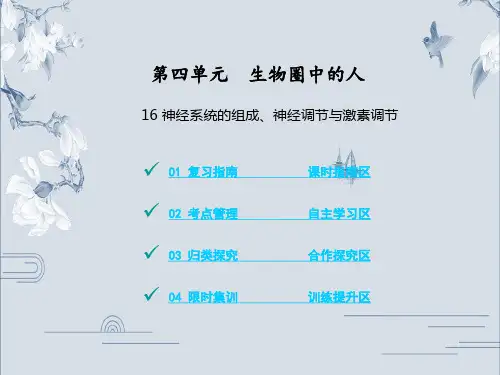 2020中考生物复习课件--16 神经系统的组成、神经调节与激素调节