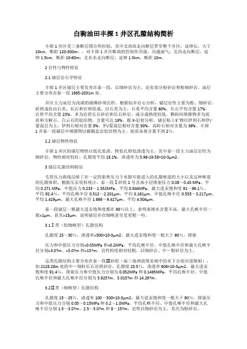 白驹油田丰探1井区孔隙结构简析