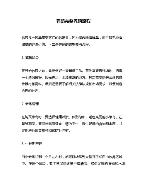 养鹅完整养殖流程