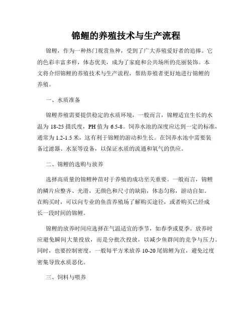 锦鲤的养殖技术与生产流程