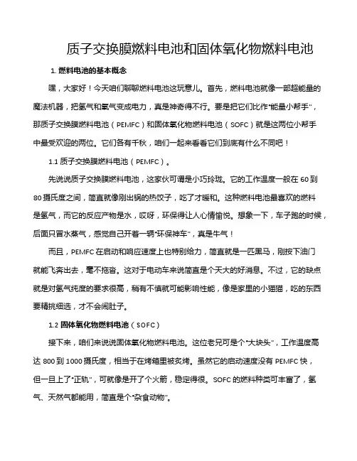 质子交换膜燃料电池和固体氧化物燃料电池