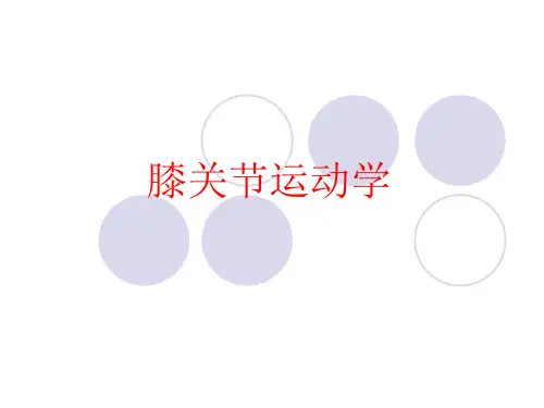 膝关节运动学