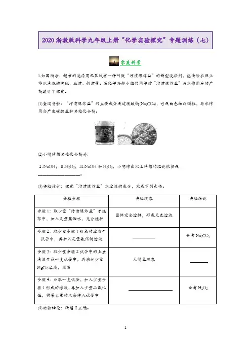 2020浙教版科学九年级上册“化学实验探究”专题训练(七)【含答案】