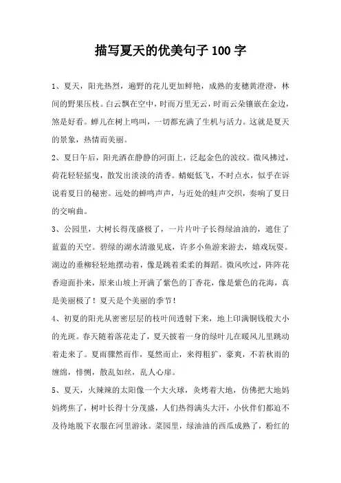 描写夏天的优美句子100字
