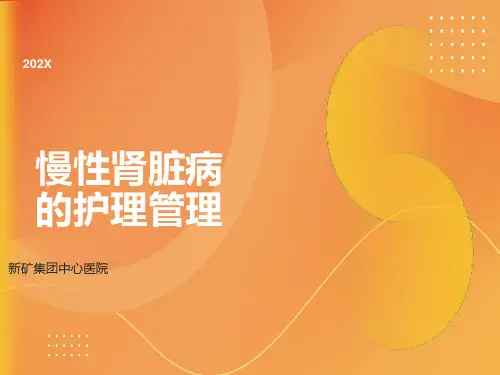 慢性肾脏病的护理ppt课件