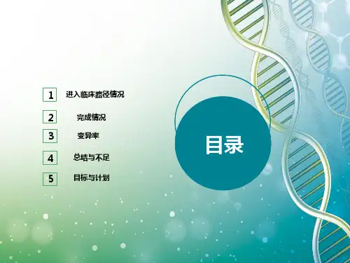 2019年第一季度临床路径工作总结ppt课件