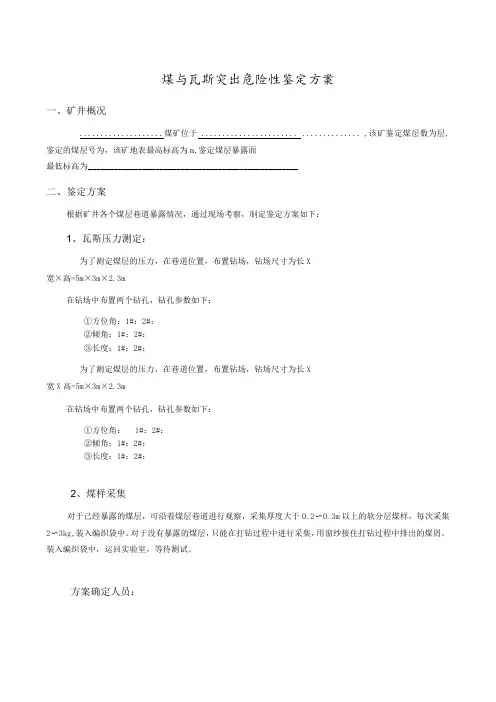 煤与瓦斯突出危险性鉴定方案