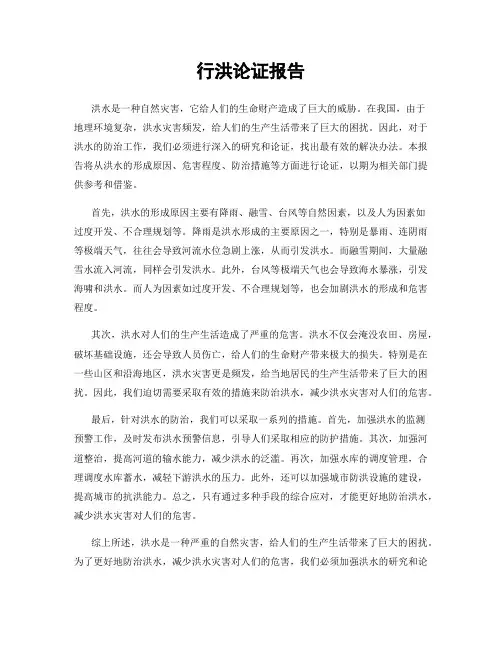 行洪论证报告