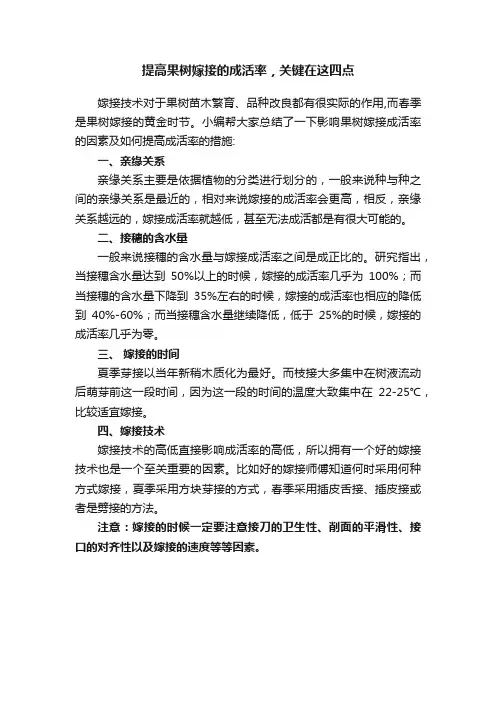 提高果树嫁接的成活率，关键在这四点