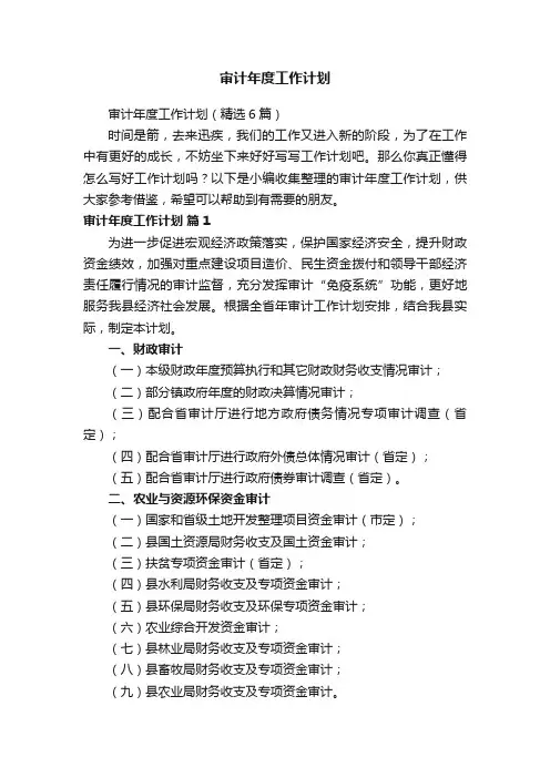 审计年度工作计划（精选6篇）