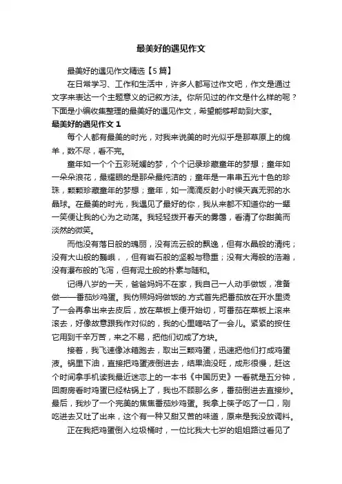 最美好的遇见作文精选【5篇】