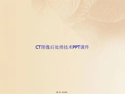 CT图像后处理技术PPT(共105张PPT)