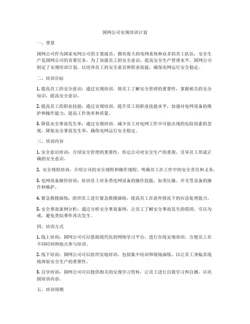 国网公司安规培训计划