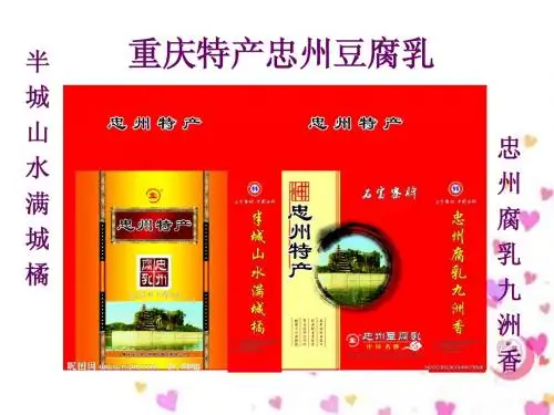 重庆特产忠州豆腐