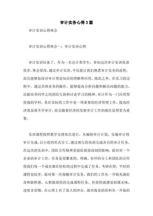 审计实务心得3篇