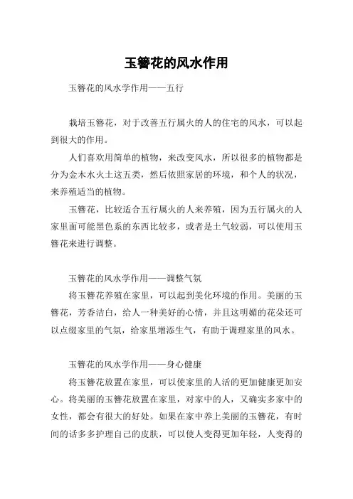 玉簪花的风水作用