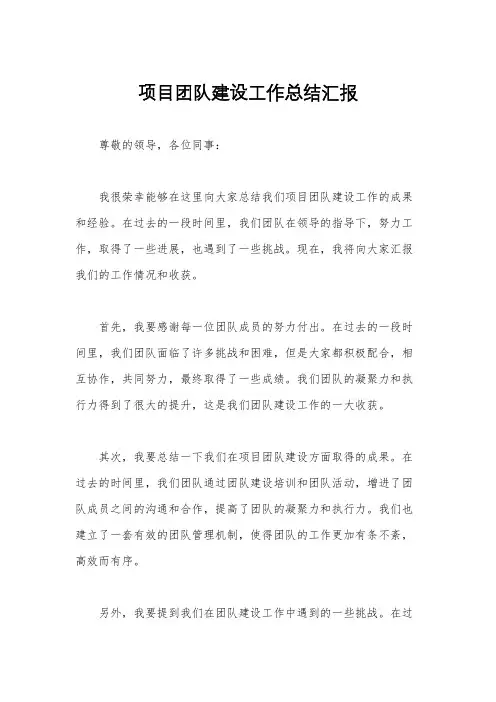 项目团队建设工作总结汇报