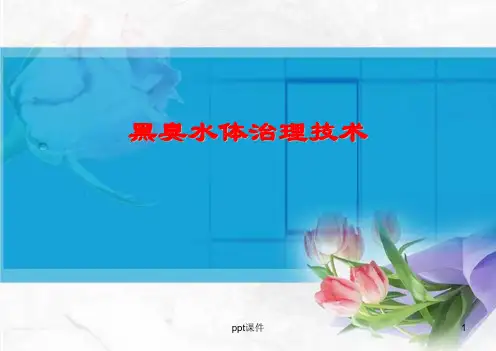 黑臭水体治理技术--ppt课件