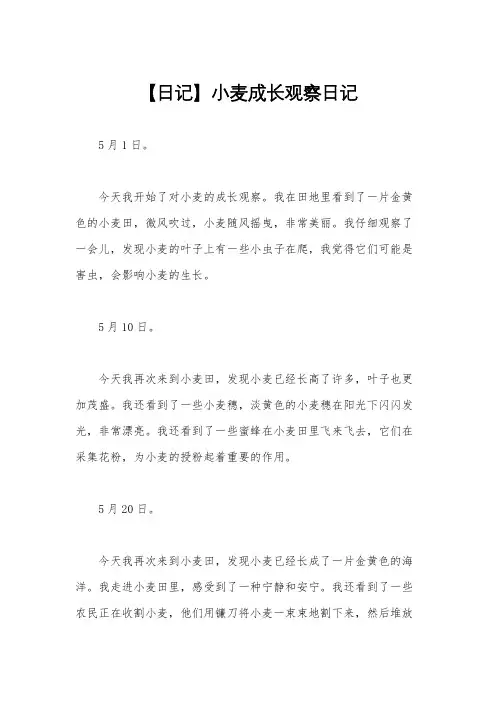 【日记】小麦成长观察日记