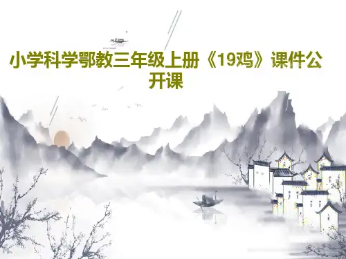 小学科学鄂教三年级上册《19鸡》课件公开课共20页