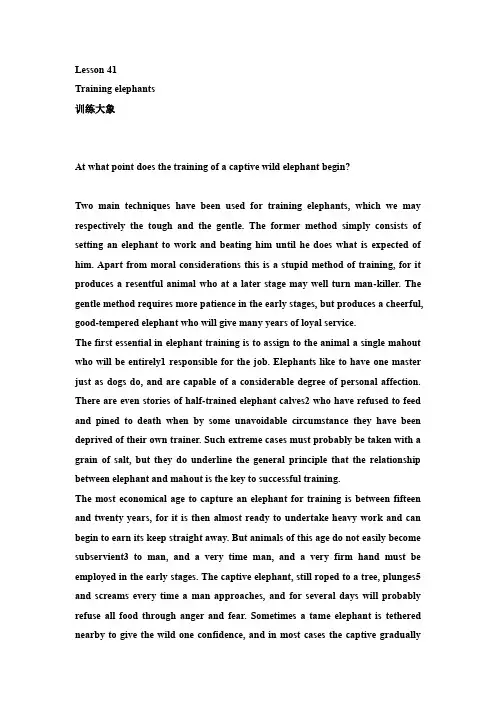 新概念英语第四册Lesson+41+Training+elephants+讲义