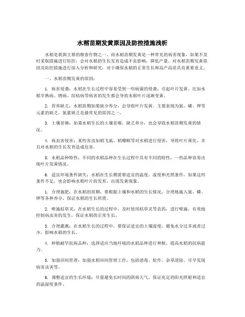 水稻苗期发黄原因及防控措施浅析