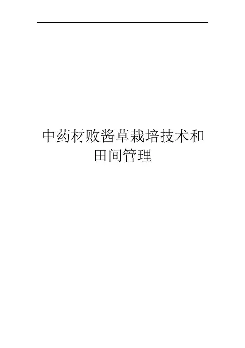 中药材败酱草栽培技术和田间管理