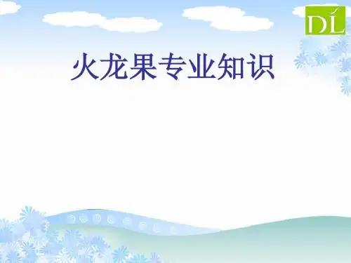 火龙果