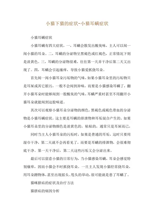 小猫下猫的症状-小猫耳螨症状