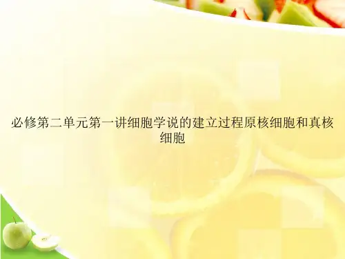 必修第二单元第一讲细胞学说的建立过程原核细胞和真核细胞ppt文档