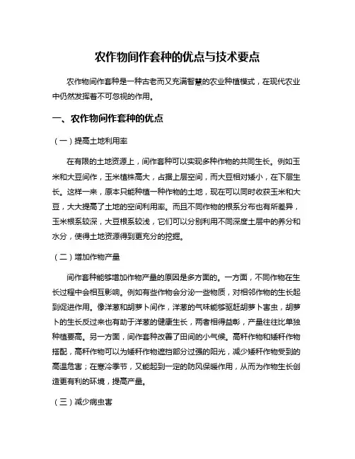 农作物间作套种的优点与技术要点