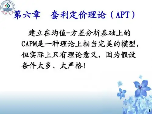 7第六章 套利定价理论