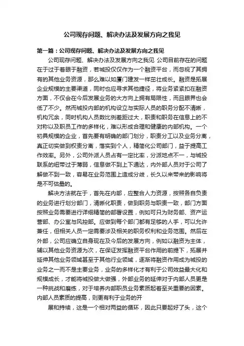 公司现存问题、解决办法及发展方向之我见