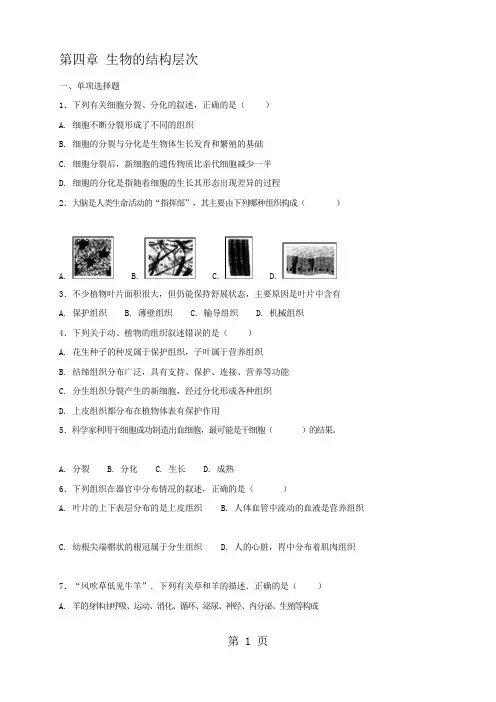 北师大版七年级上册生物 第四章 生物的结构层次 复习测试