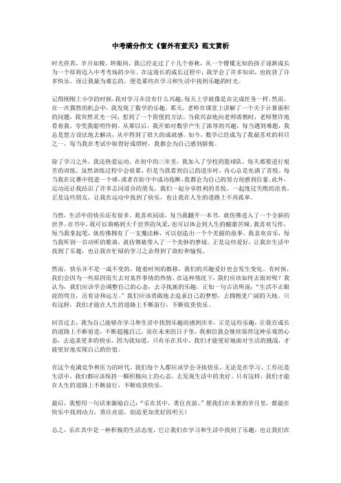 中考满分作文《窗外有蓝天》范文赏析