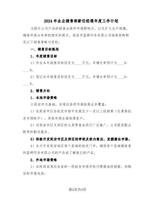 2024年企业销售部新任经理年度工作计划（二篇）