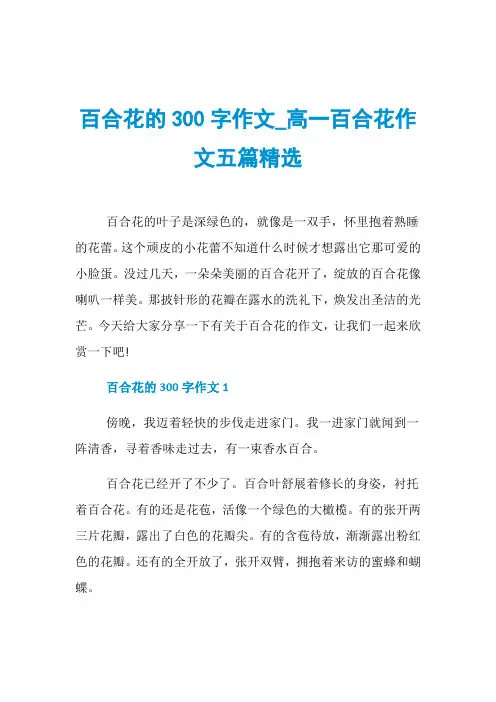 百合花的300字作文_高一百合花作文五篇精选