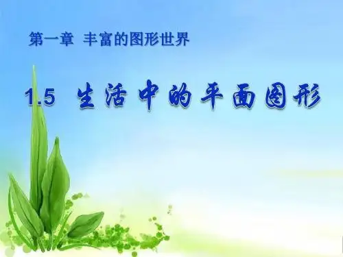 《生活中的平面图形》丰富的图形世界PPT课件 (共27张PPT)