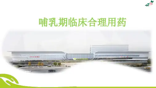 哺乳期临床合理用药