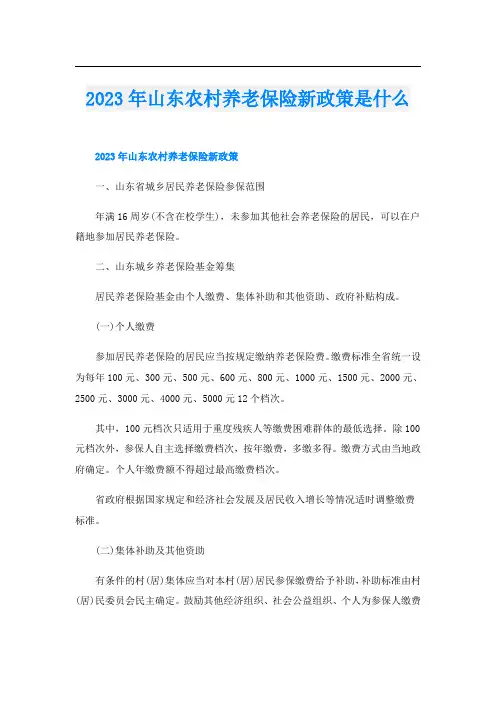 2023年山东农村养老保险新政策是什么