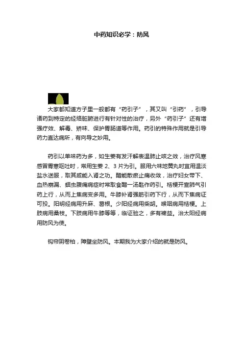 中药知识必学：防风