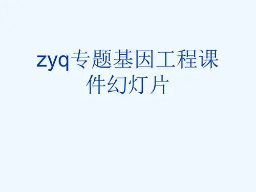 zyq专题基因工程课件幻灯片